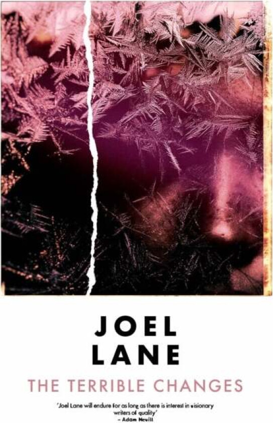 The Terrible Changes av Joel Lane