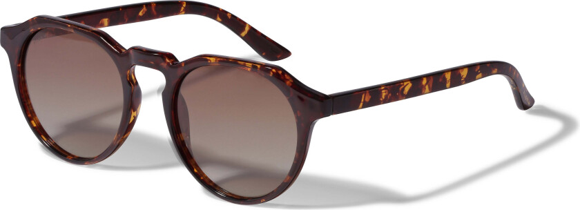 ALEJANDRA solbriller tortoise-brun