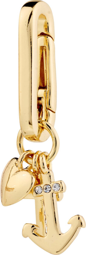 CHARM symbolanheng gullbelagt