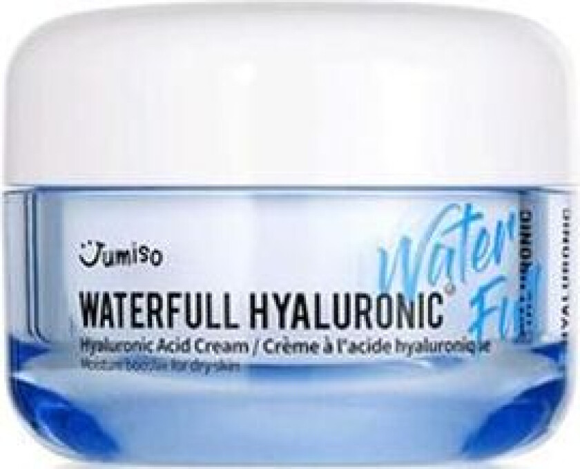 Waterfull Hyaluronic Acid Cream - 50 ml.