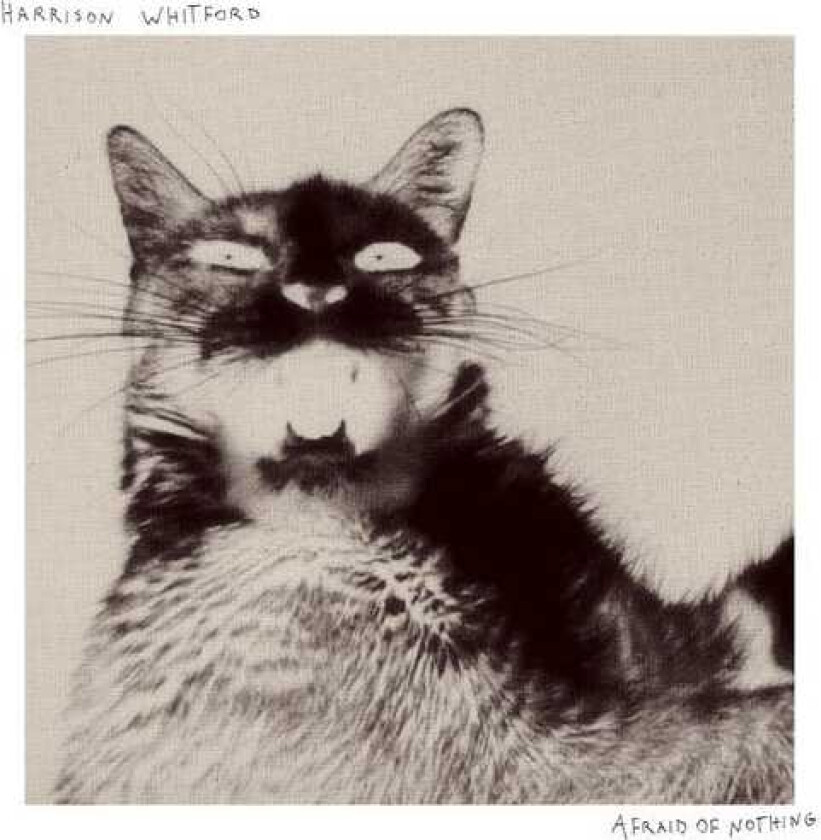 Harrison Whitford Afraid Of Nothing LP/Vinyl