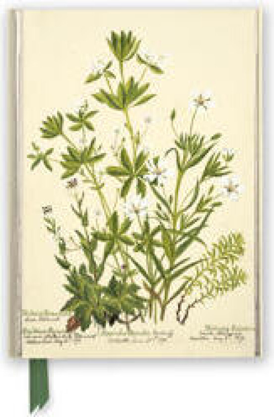 RBGE: Charlotte Cowan Pearson: Stitchworts, Woodruff and Pepperwort (Foiled Journal)