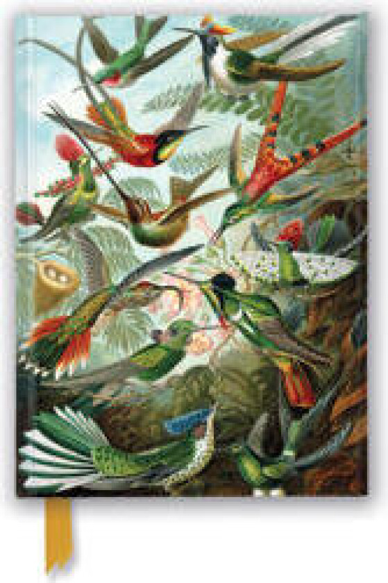 Ernst Haeckel: Hummingbirds (Foiled Journal)