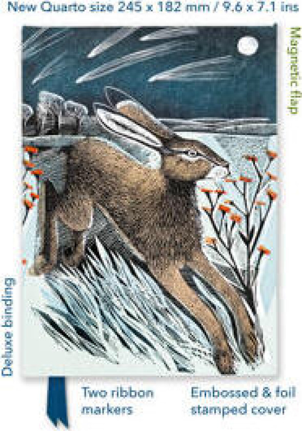 Angela Harding: Shooting Stars (Foiled Quarto Journal)