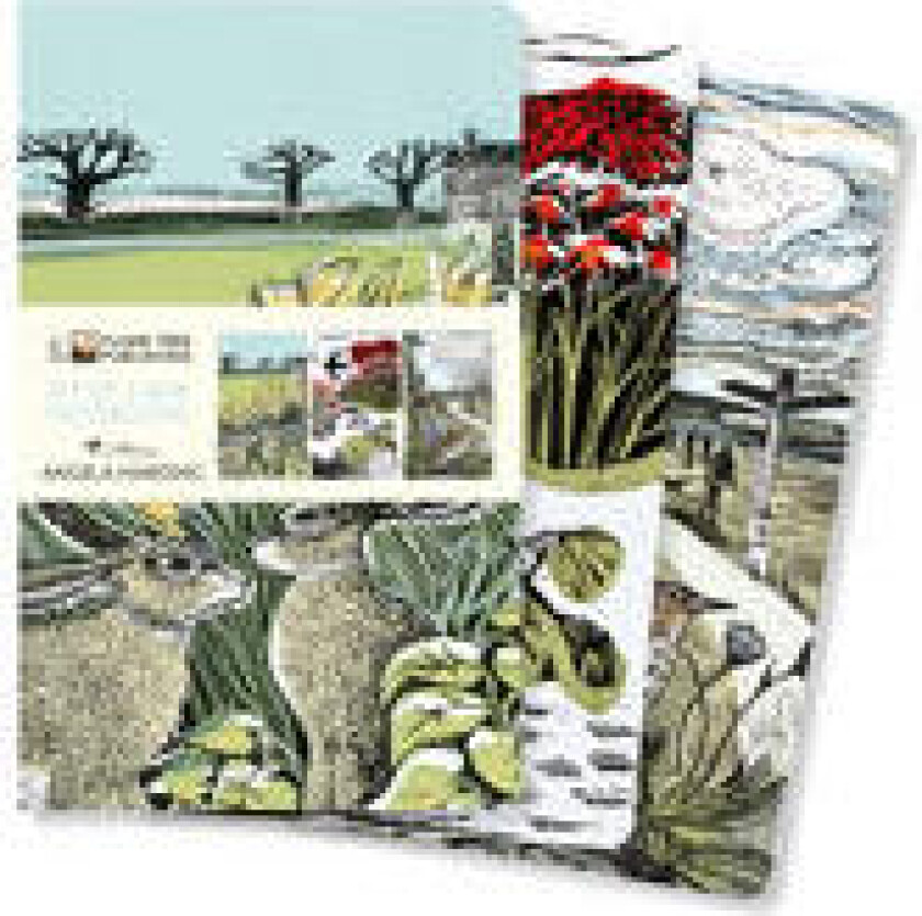 Angela Harding: Landscapes Set of 3 Mini Notebooks