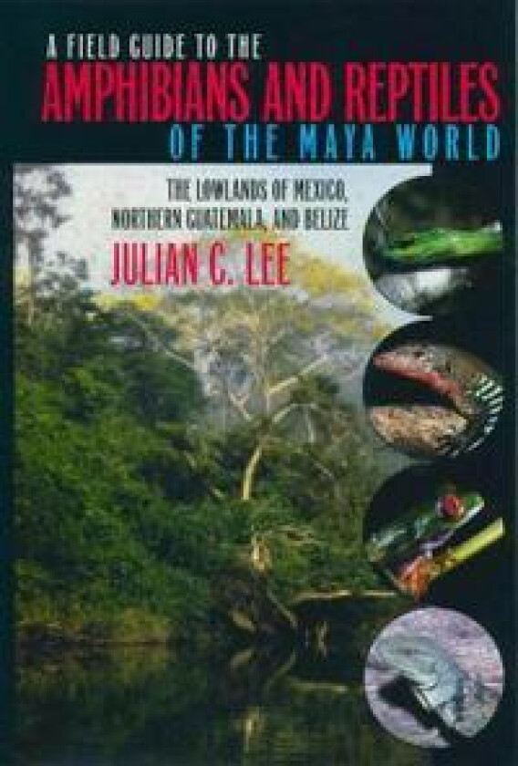 A Field Guide to the Amphibians and Reptiles of the Maya World