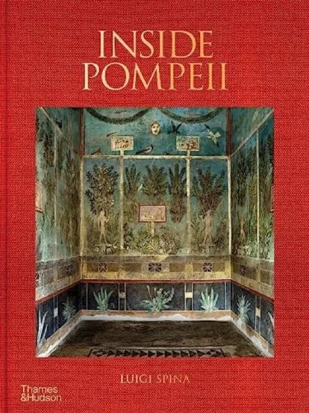 Inside Pompeii av Luigi Spina