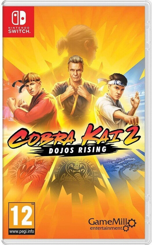Cobra Kai 2: Dojos Rising