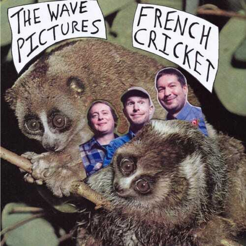 The Wave Pictures French Cricket LP/Vinyl