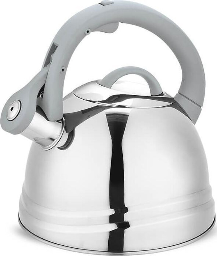 Maestro Vannkoker 2,5 L Maestro Mr-1304