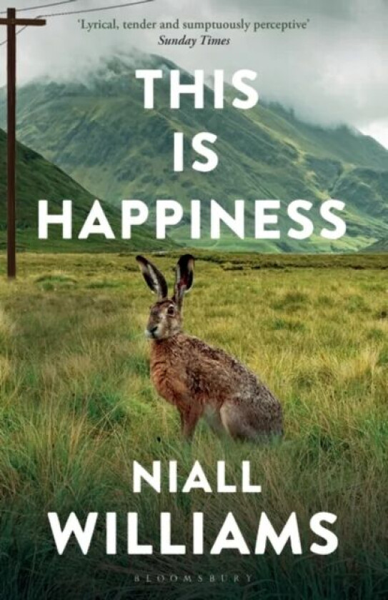 This Is Happiness av Niall Williams