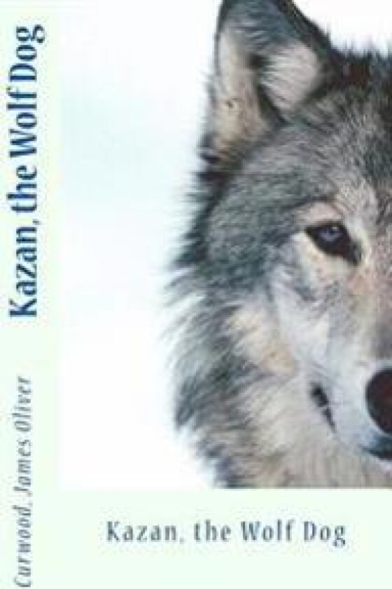 Kazan, the Wolf Dog