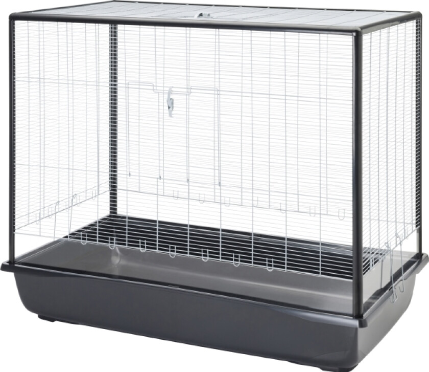 Bilde av Argus 120 Plexi Knock Down - Silver-Black