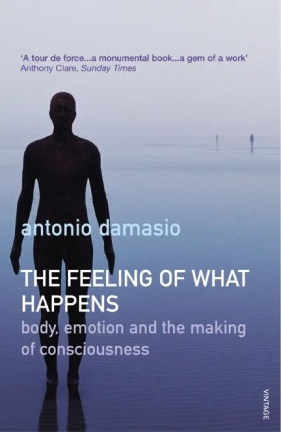 The Feeling Of What Happens av Antonio Damasio