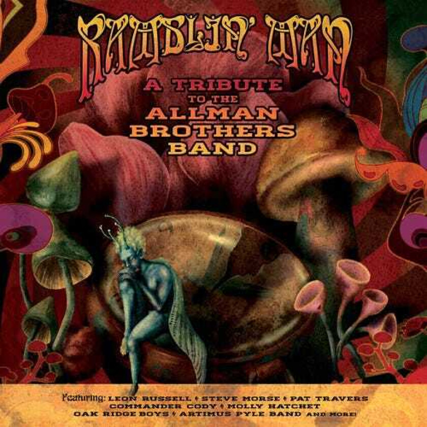 Diverse Artister Ramblin' Man Tribute To The Allman Brothers / Va LP/Vinyl