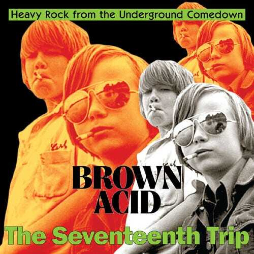 Diverse Artister Brown Acid The Seventeenth Trip LP/Vinyl