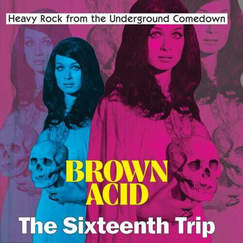 Diverse Artister Brown Acid Sixteenth Trip LP/Vinyl