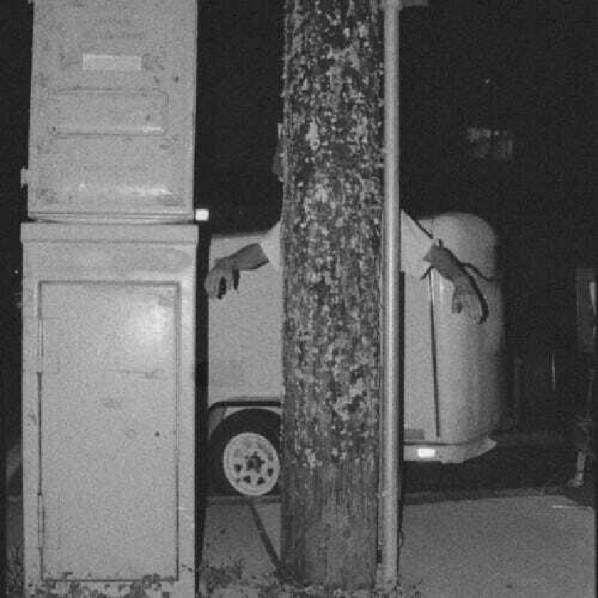 Paper Tiger All Over The Place LP/Vinyl