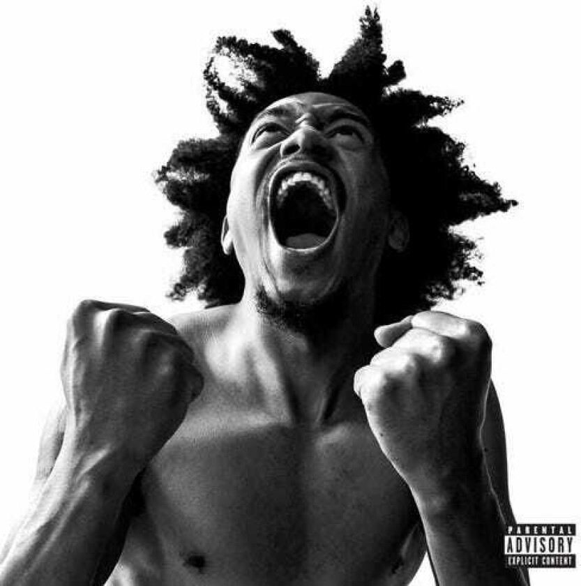 Bobby Sessions Manifest LP/Vinyl