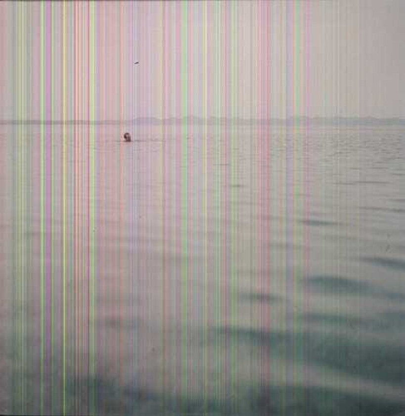 Blue Cranes Swim LP/Vinyl