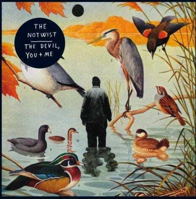 The Notwist You The Devil & I LP/Vinyl