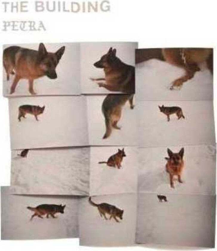 The Building Petra LP/Vinyl