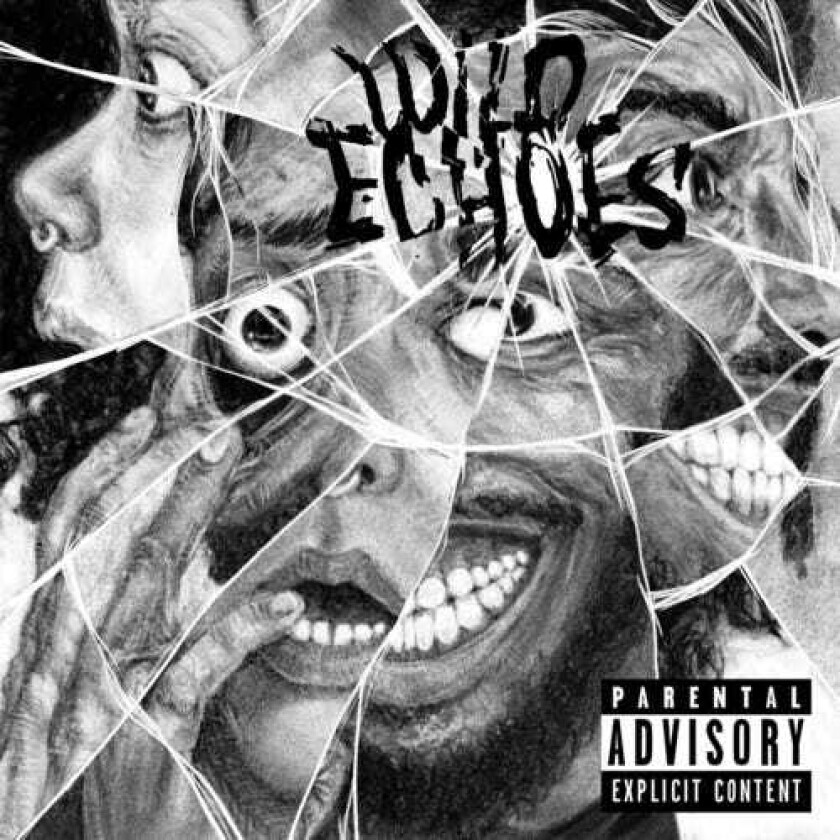 Black Creatures Wild Echoes LP/Vinyl