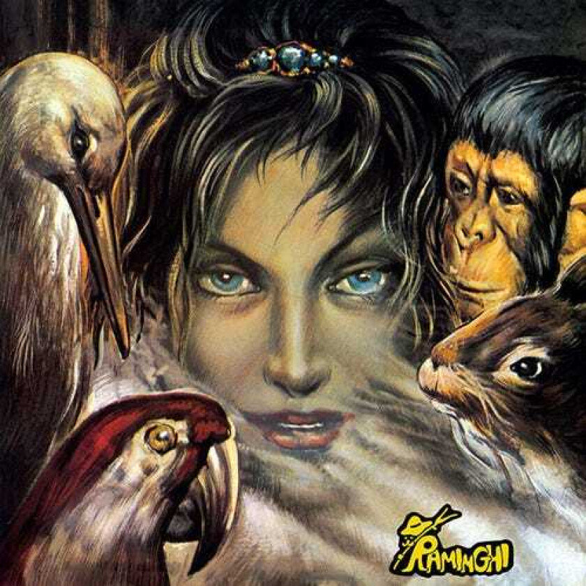 I Raminghi Il Lungo Cammino Dei Raminghi LP/Vinyl