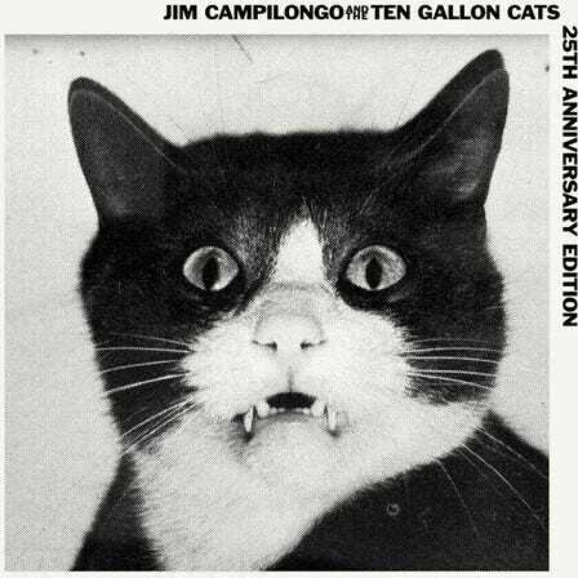 Jim Campilongo Campilongo Jim & 10 Gallon Cats LP/Vinyl