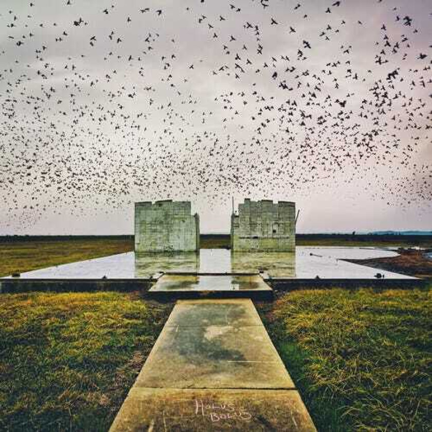 Lord Buffalo Holus Bolus LP/Vinyl