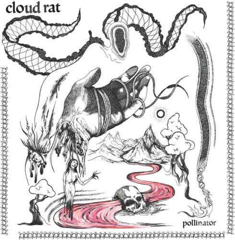Cloud Rat Pollinator LP/Vinyl