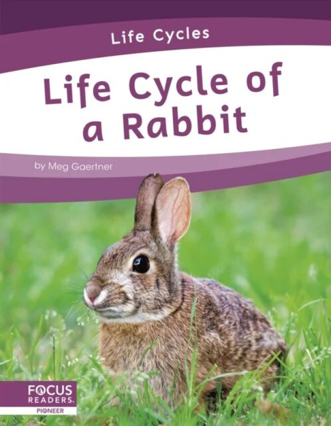 Life Cycles: Life Cycle of a Rabbit av Meg Gaertner