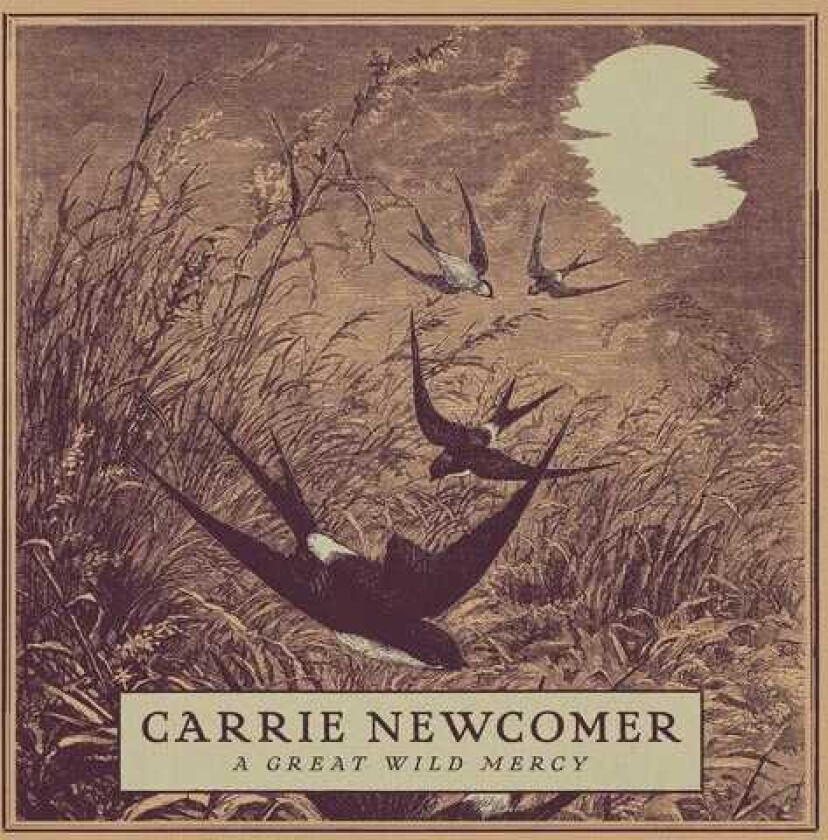 Carrie Newcomer Great Wild Mercy CD