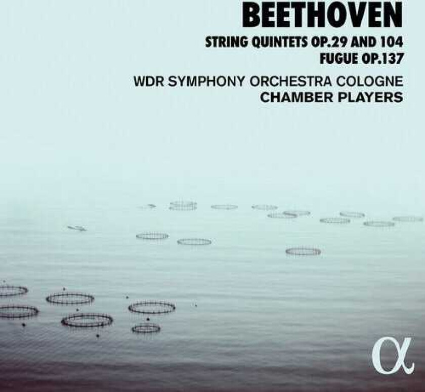 String Quintets 29 & 104 CD