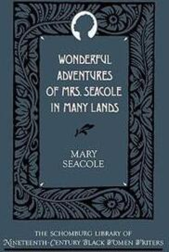 Wonderful Adventures of Mrs Seacole in Many Lands