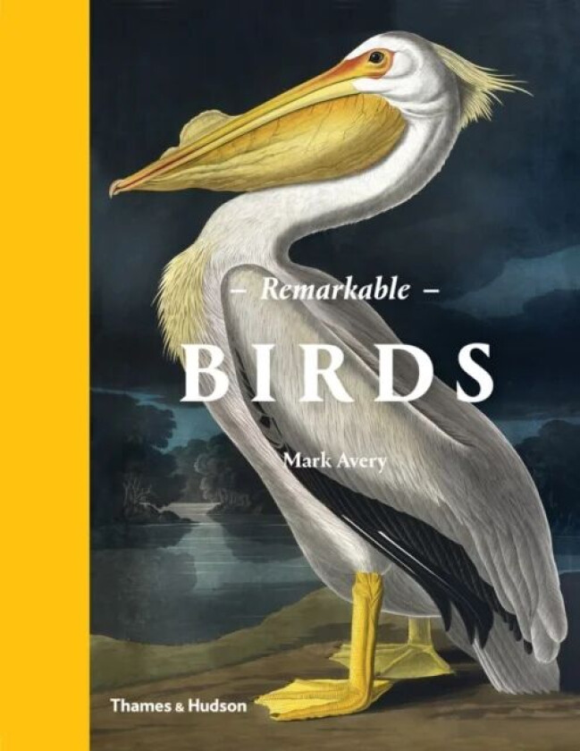 Remarkable Birds av Mark Avery