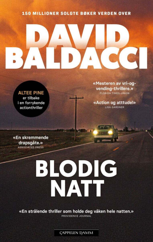 Blodig natt av David Baldacci