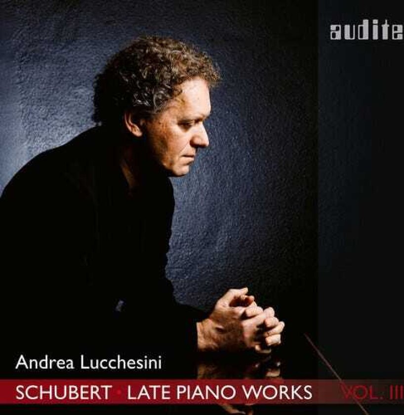 Andrea Lucchesini Late Piano Works 3 CD