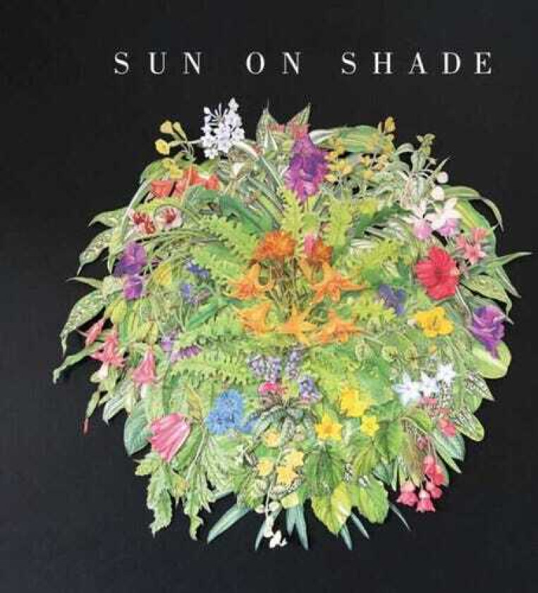 Sun On Shade Sun On Shade CD