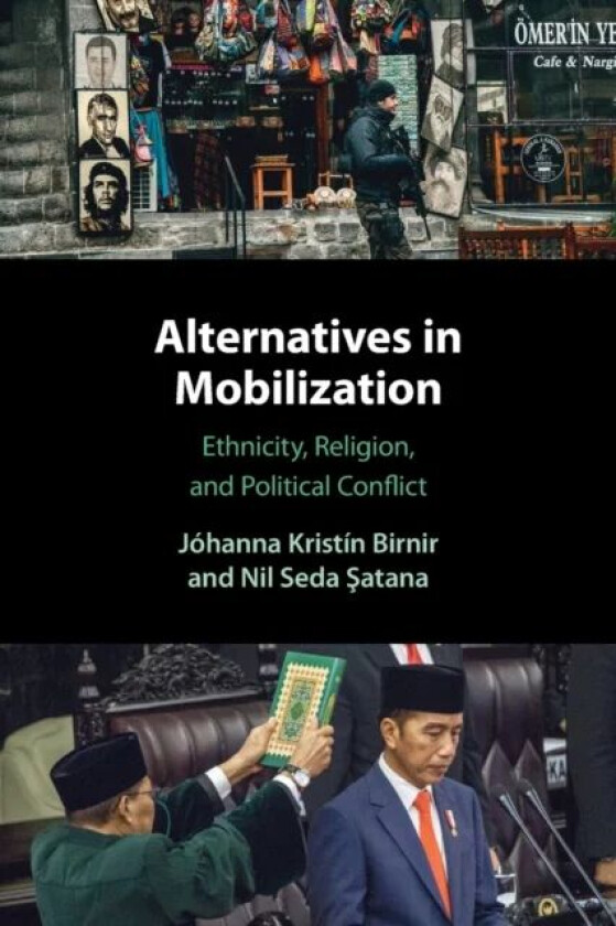 Alternatives in Mobilization av Johanna Kristin (University of Maryland College Park) Birnir, Nil Seda (University of Maryland College Park) Satana