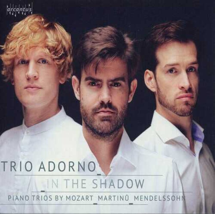 Trio Adorno In The Shadow CD