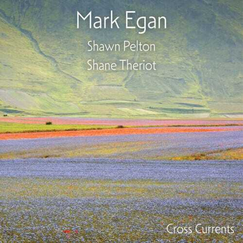 Mark Egan Cross Currents LP/Vinyl