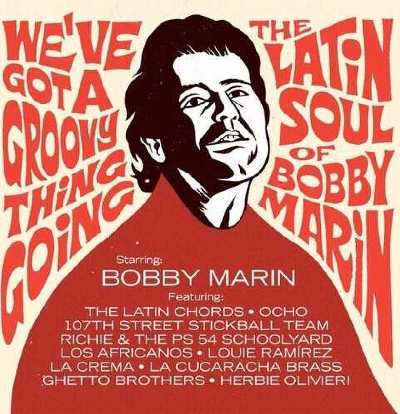 Diverse Artister We've Got A Groovy Thing Going: Latin Soul / Var LP/Vinyl