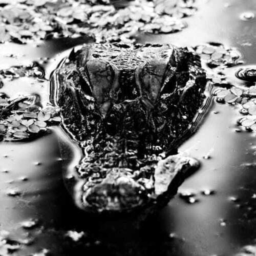 Many Blessings Emanation Body LP/Vinyl