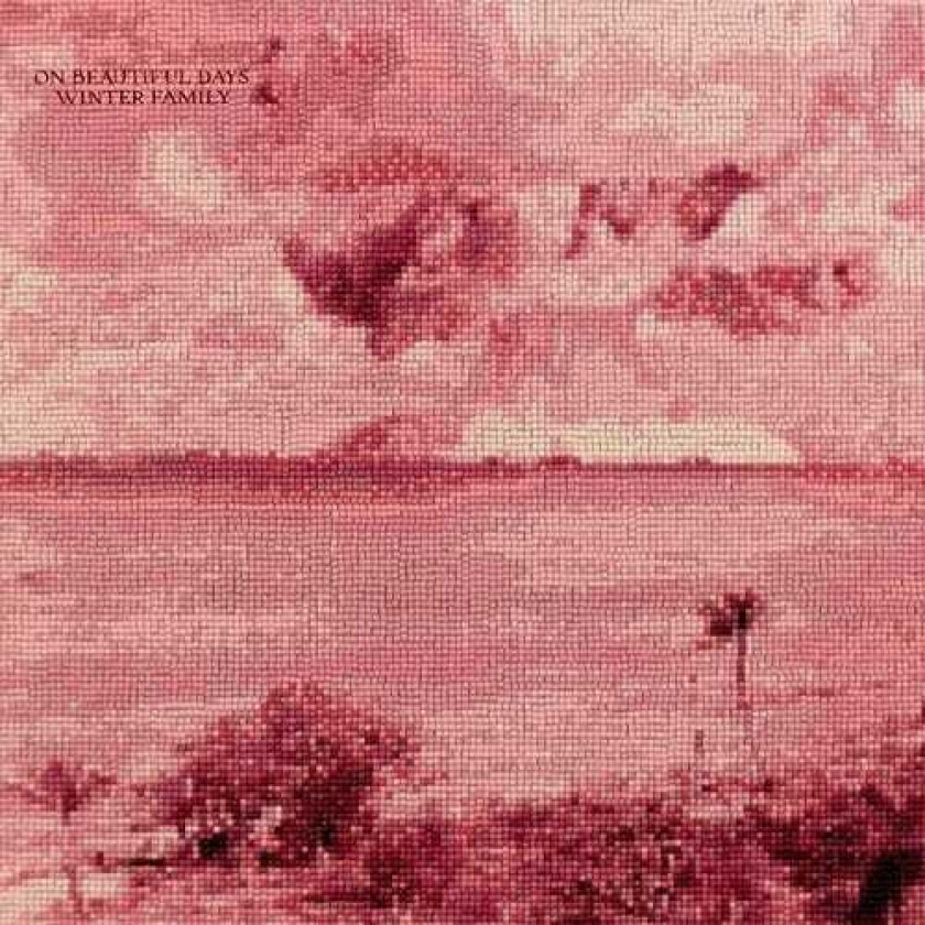 Winter Family On Beautiful Days LP/Vinyl