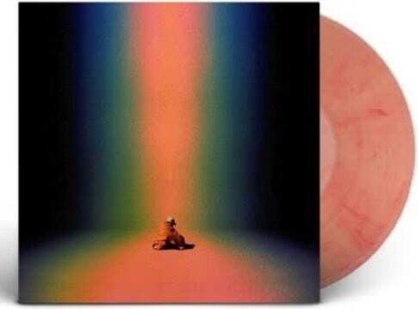 La Villana Valkenburg LP/Vinyl