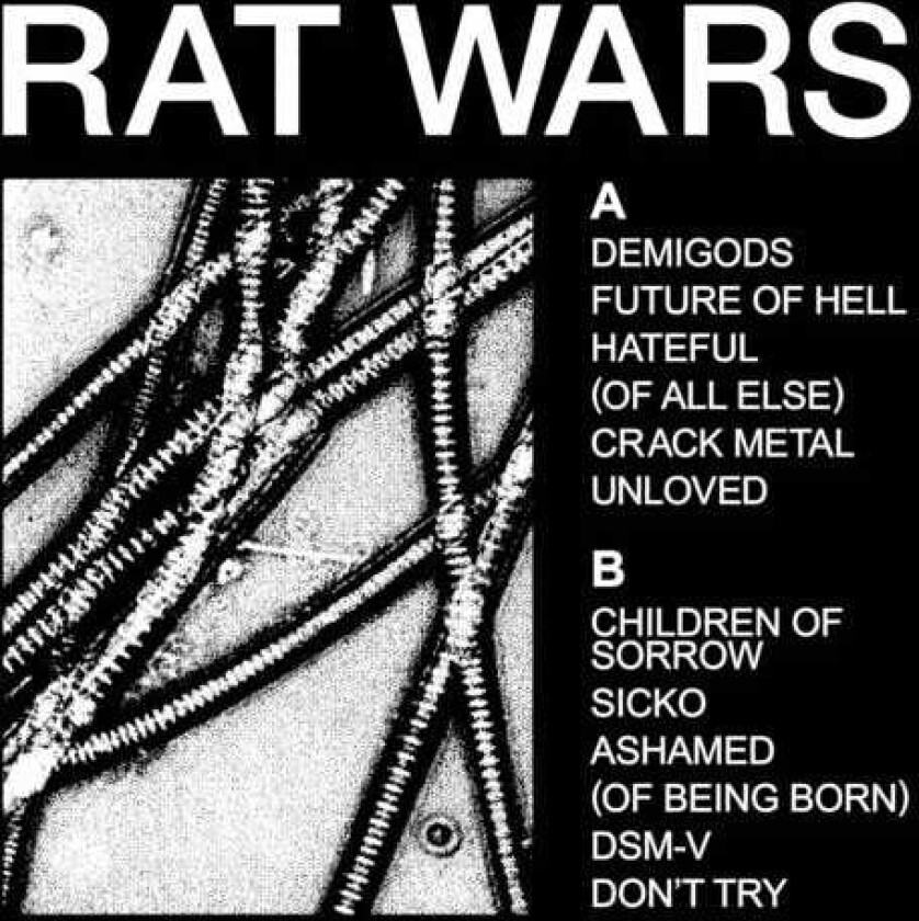 Health Rat Wars LP/Vinyl