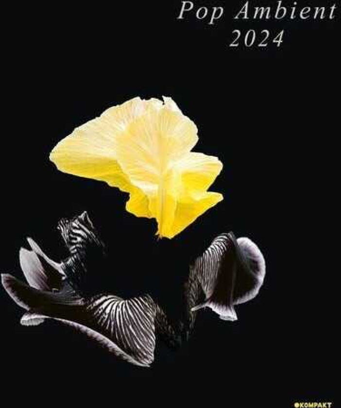 Diverse Artister Pop Ambient 2024 LP/Vinyl