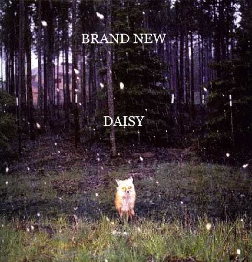 Brand New Daisy LP/Vinyl