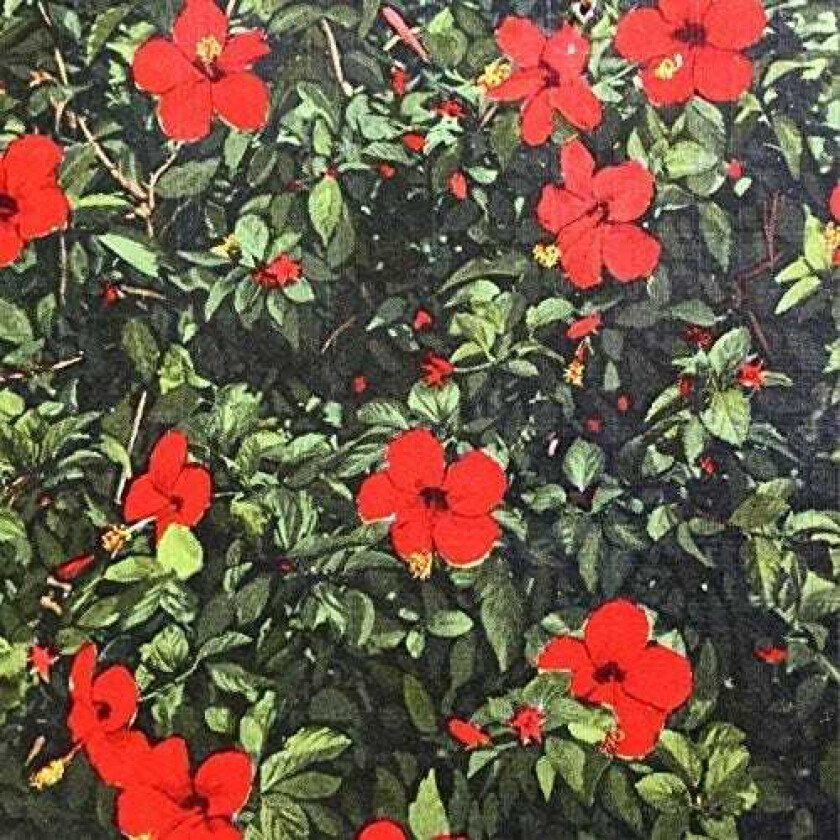 Real Live Tigers Denatured LP/Vinyl